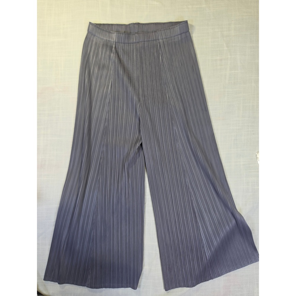 Slate Grey Accordion Pleated Wide Leg High Waisted Elastic Waist Trousers Pants